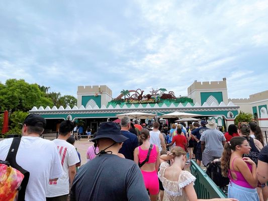 Busch Gardens Tampa Bay by null