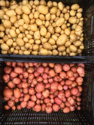 Saucon Valley Farmers' Market by null