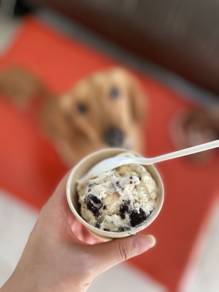 BASKINROBBINS Updated October 2024 52 Photos & 31 Reviews 820 W