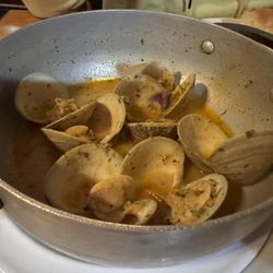 IV Seasons - Little neck clams