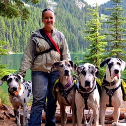 Happy Tails Dog Training & Behavior