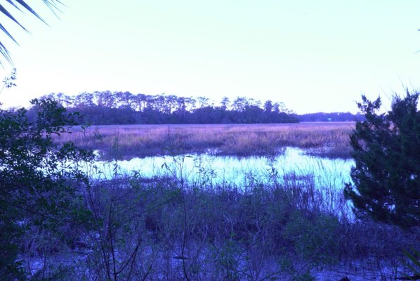 Skidaway Island State Park by null