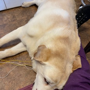 Kendra Pope - Veterinarians Near Me - Red Bank, New Jersey Kendra Pope - Veterinarians Near Me - Red Bank, New Jersey