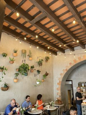 Café Botánico by null