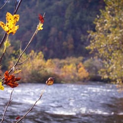 Black Bear Lodge