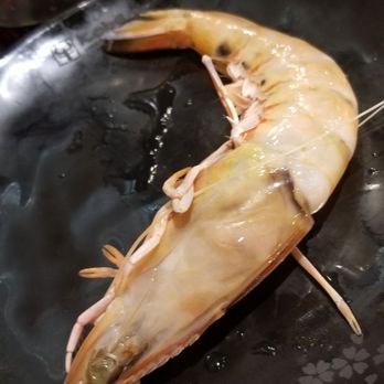 Kobe Wagyu - Giant shrimp - Japanese Near Me - Sydney, NSW