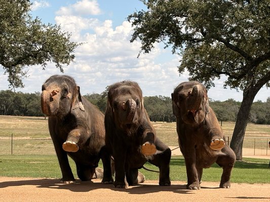 The Preserve by null