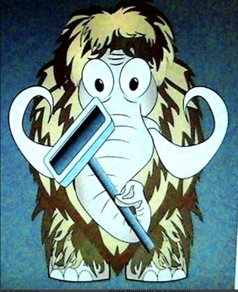 MAMMOTH CLEANERS Updated September 2024 23 Photos & 12 Reviews