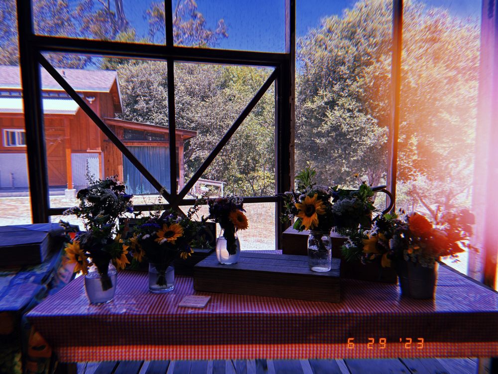 EVERETT FAMILY FARM Updated September 2024 34 Photos & 26 Reviews