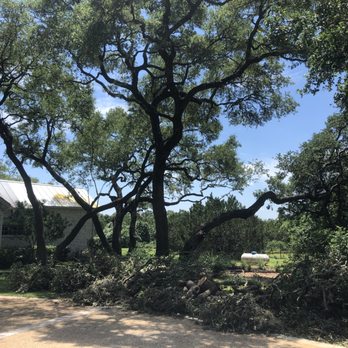 Yates Tree - Clients Home - Tree Services Near Me Yates Tree - Clients Home - Tree Services Near Me