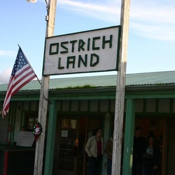 Ostrichland USA - Ostrich Land - Attraction Farms Near Me - Solvang, California Ostrichland USA - Ostrich Land - Attraction Farms Near Me - Solvang, California