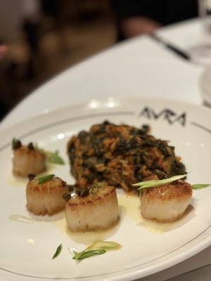 Avra Madison by null