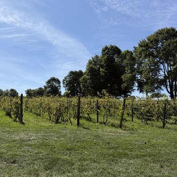 Greenvale Vineyards - Wineries Near Me - Portsmouth, Rhode Island