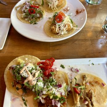 The Mission Old Town - Top battered rock shrimp tacos below pork belly and braised pork tacos - Latin American Near Me - Scottsdale, Arizona The Mission Old Town - Top battered rock shrimp tacos below pork belly and braised pork tacos - Latin American Near Me - Scottsdale, Arizona