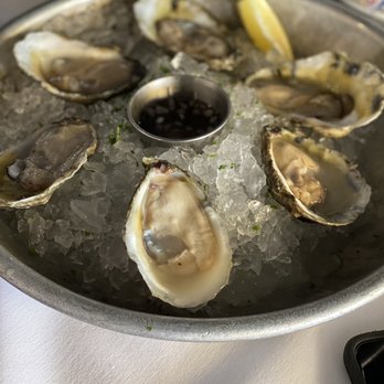 Coconuts - Chesapeake Oysters. - Seafood Near Me - Fort Lauderdale, Florida Coconuts - Chesapeake Oysters. - Seafood Near Me - Fort Lauderdale, Florida