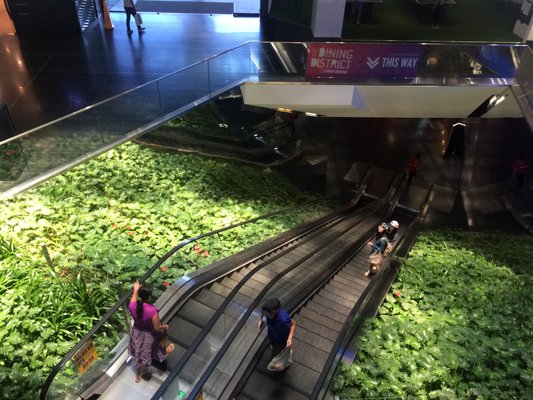 Central Park Mall by null