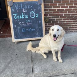 Jackie O's Brewpub - Dog friendly patio- Evie had a great dining experience here!