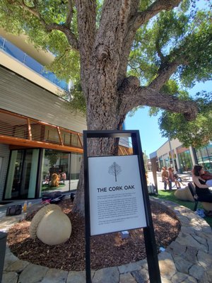 Music in the Vineyards by null