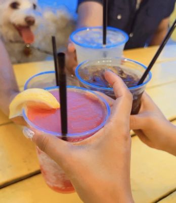 MUTTS Canine Cantina® by null