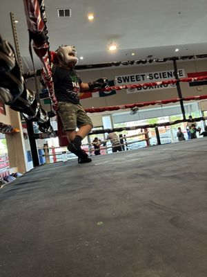 Sweet Science Boxing & MMA by null
