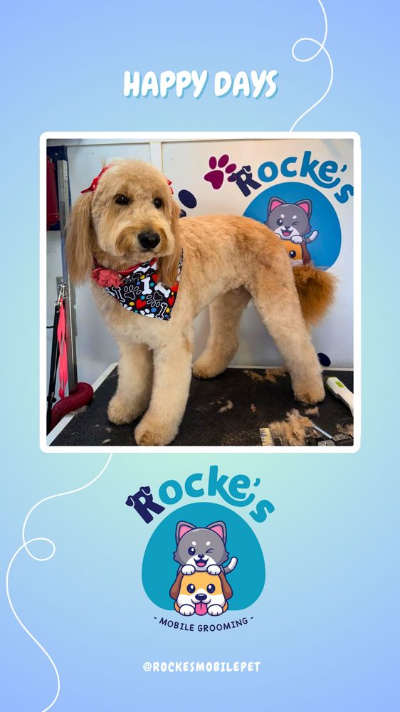 ROCKE’S MOBILE PET GROOMING - Updated January 2026 - 44 Photos - Austin ...