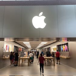 Apple - Brandon