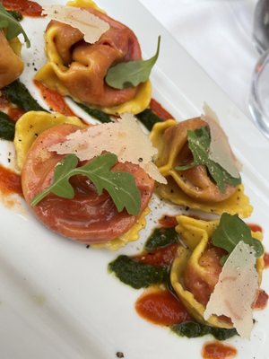 Terra di Vino by null