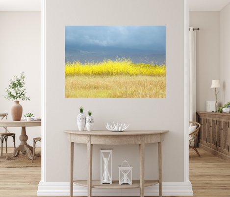 Latitudes Gallery - Ventura by null