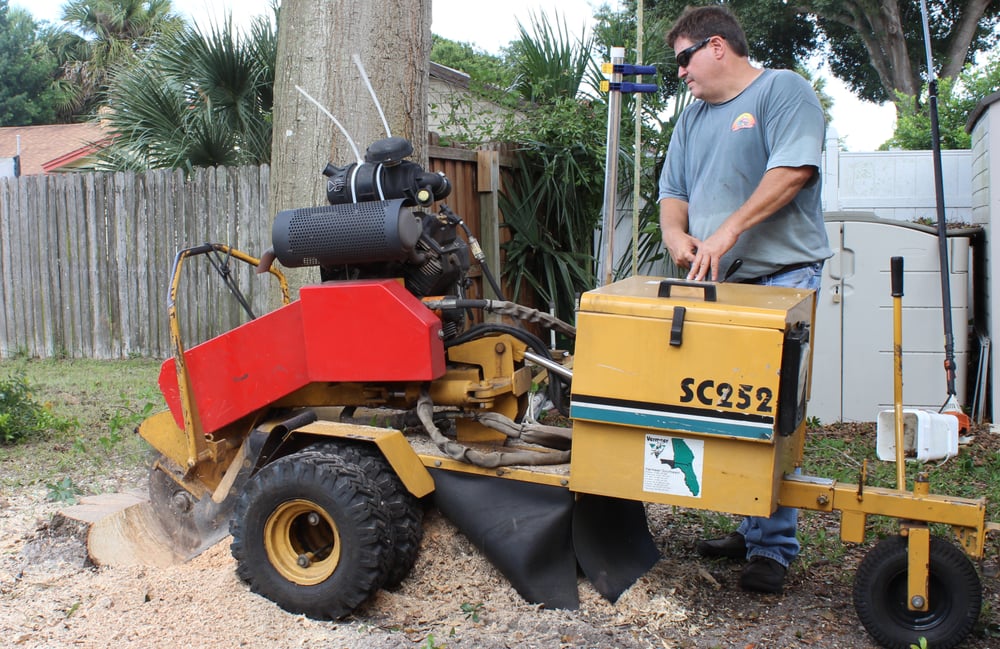 1888CleanUp - tree service in Orlando, FL