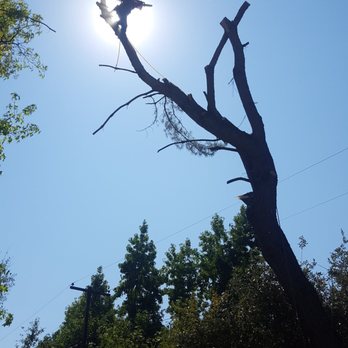 Timbersmith Tree Service - Tree Services Near Me