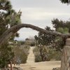 Joshua Tree Retreat Center - Institute of Mentalphysics gift card