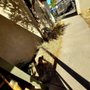 Photo of Diaz Landscaping Management