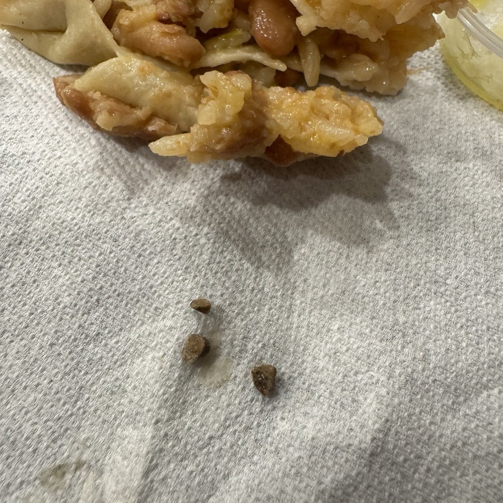 Gordo Taqueria - Two extra pieces found. - Mexican Near Me - Albany, California Gordo Taqueria - Two extra pieces found. - Mexican Near Me - Albany, California