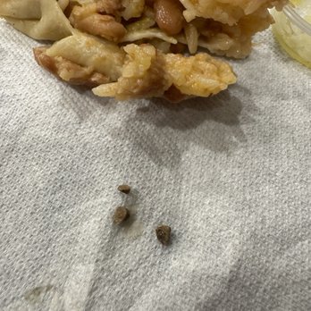 Gordo Taqueria - Two extra pieces found. - Mexican Near Me - Albany, California Gordo Taqueria - Two extra pieces found. - Mexican Near Me - Albany, California