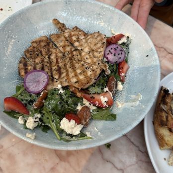 Paradiso - Salad w chicken added - Bars Near Me - Dallas, Texas Paradiso - Salad w chicken added - Bars Near Me - Dallas, Texas