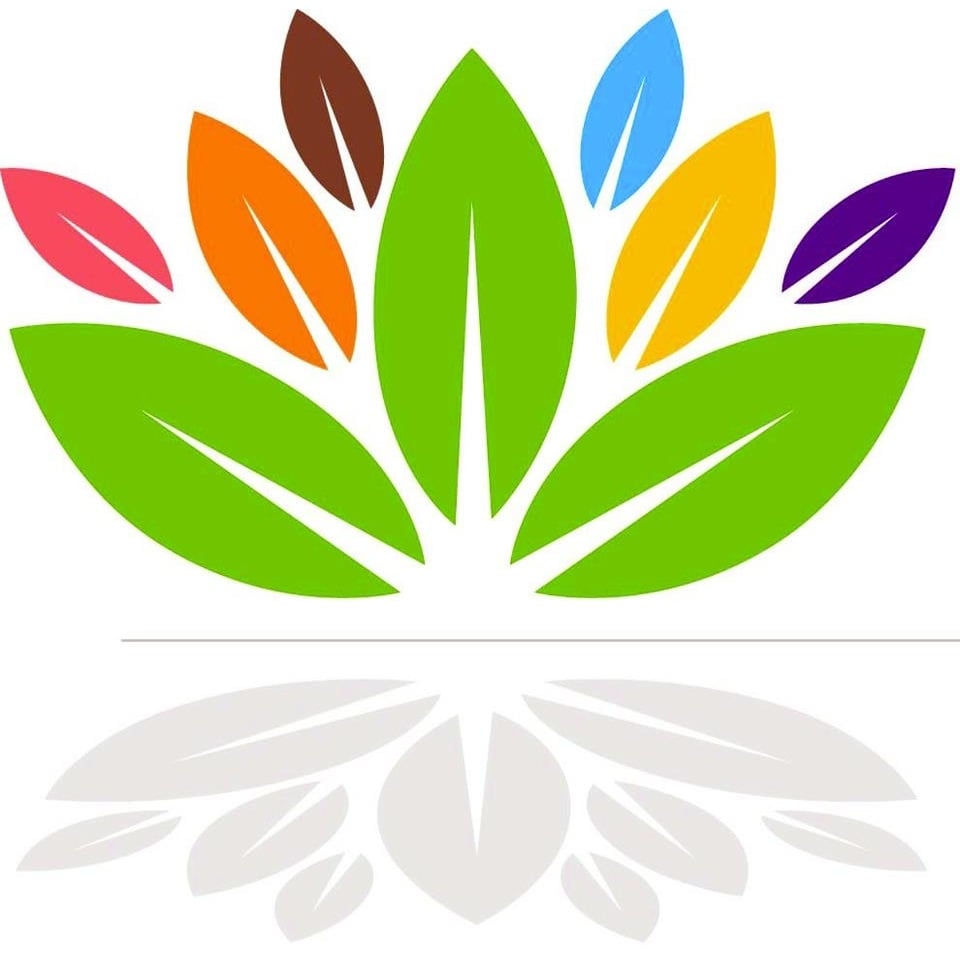 Safe Connections - social services organization in Saint Louis, MO