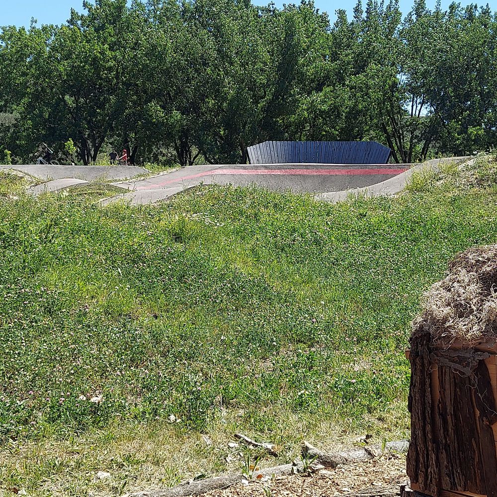 Big Marsh - Parks Near Me - Chicago, Illinois