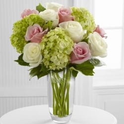 Blossoms at Dailey's Flower Shop