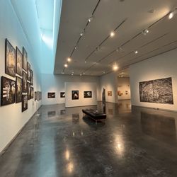 LSU Museum Of Art