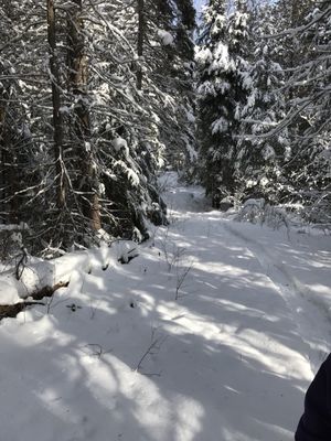 Northwoods Stewardship Center