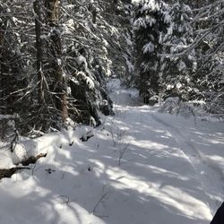 Northwoods Stewardship Center - One of the cross country and snow shoe trails