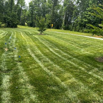 Sargent lawn care - Lawn Services Near Me Sargent lawn care - Lawn Services Near Me
