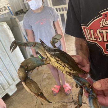 Sampson & Son's Seafood - Fresh Blue Crab - Seafood Markets Near Me - Galveston, Texas Sampson & Son's Seafood - Fresh Blue Crab - Seafood Markets Near Me - Galveston, Texas