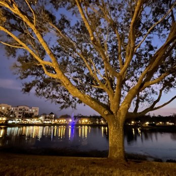 Mejana Mediterranean Grille - Over looking the small lake - Mediterranean Near Me - Orlando, Florida Mejana Mediterranean Grille - Over looking the small lake - Mediterranean Near Me - Orlando, Florida