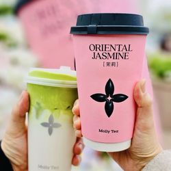 Molly Tea - Jasmine Matcha milk tea & Jasmine milk tea