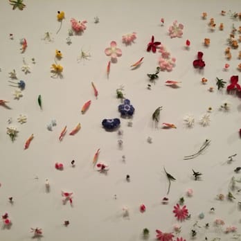 Hammer Museum - Museums Near Me - Los Angeles, California Hammer Museum - Museums Near Me - Los Angeles, California