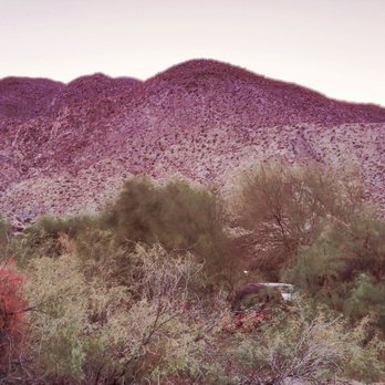 Agua Caliente Park - Campgrounds Near Me - Julian, California