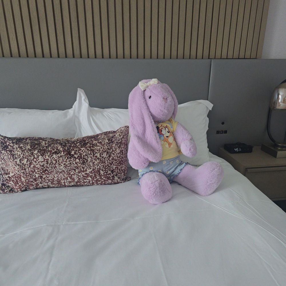 Loews - The comfy bed - Hotels Near Me - Arlington, Texas