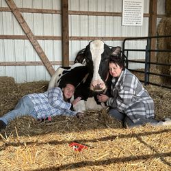 La Farm Girls Cow & Cuddle Academy