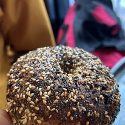PopUp Bagels - Everything bagel